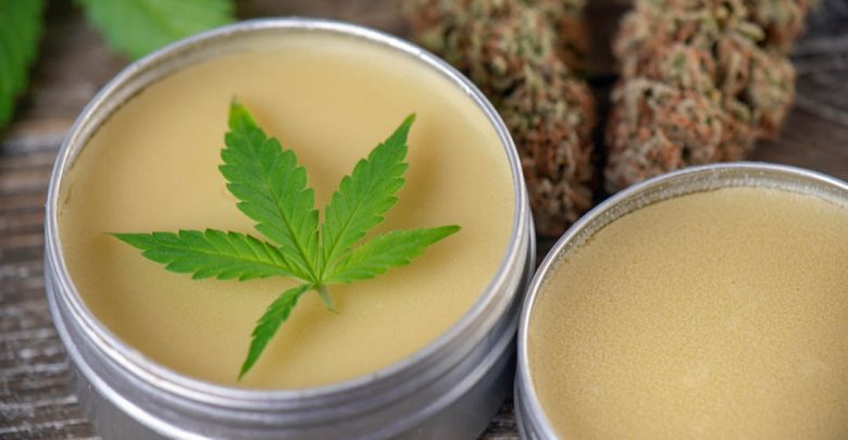 The Differences In CBD And Delta 8 That You Must Be Aware Of