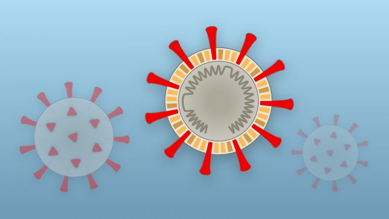 taking care of the corona patients can make use of favipiravir intermediate in order to treat the patients at the best.