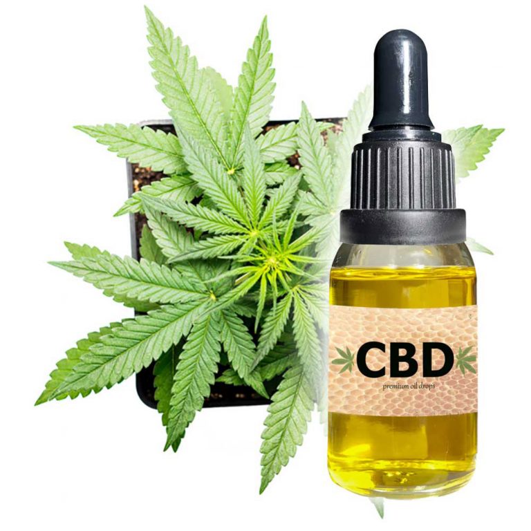 cbd oil4