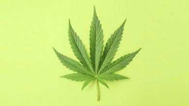 Medicinal Uses of Cannabis