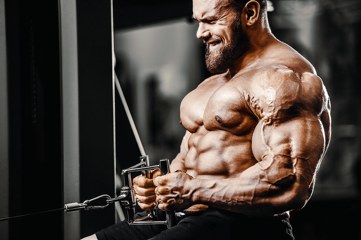 The Impact of Anabolic Steroids on Athletic Performance